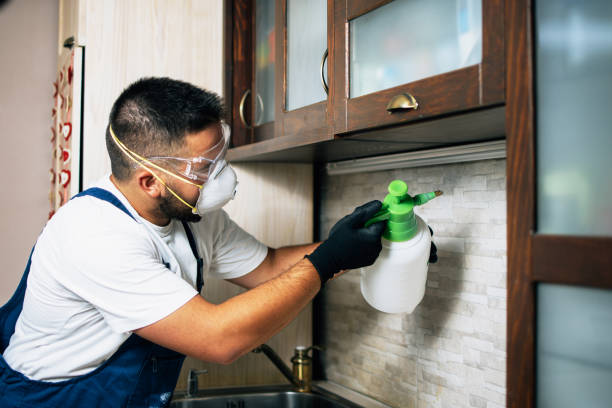 Pest Prevention Services in Elmont, NY